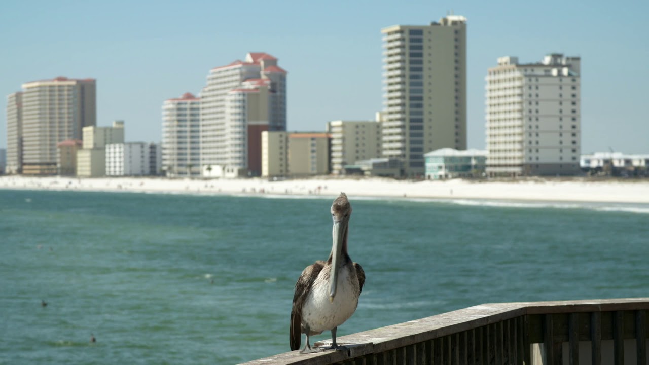 White Sand Beaches | Alabama Legacy Moments