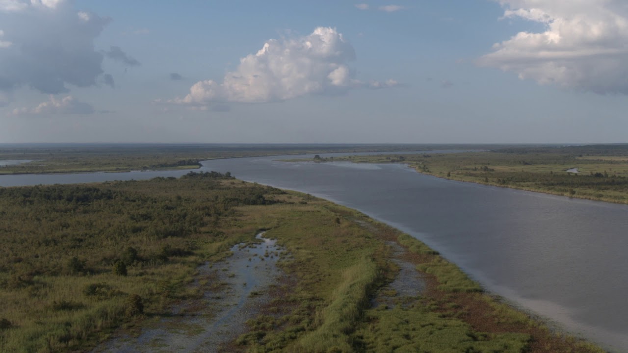 Mobile-Tensaw Delta  Alabama Legacy Moments